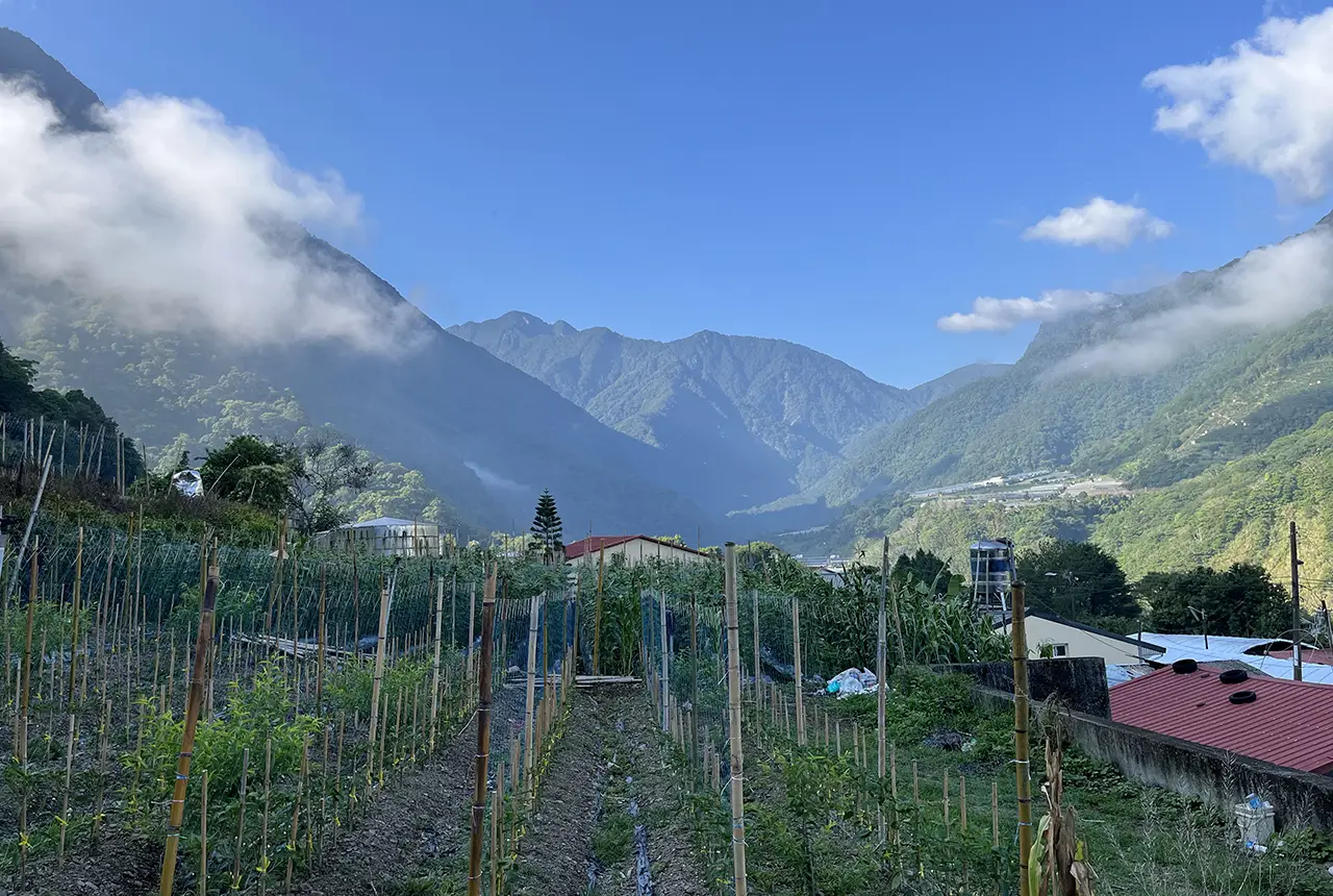 the-highest-peak-in-taiwan