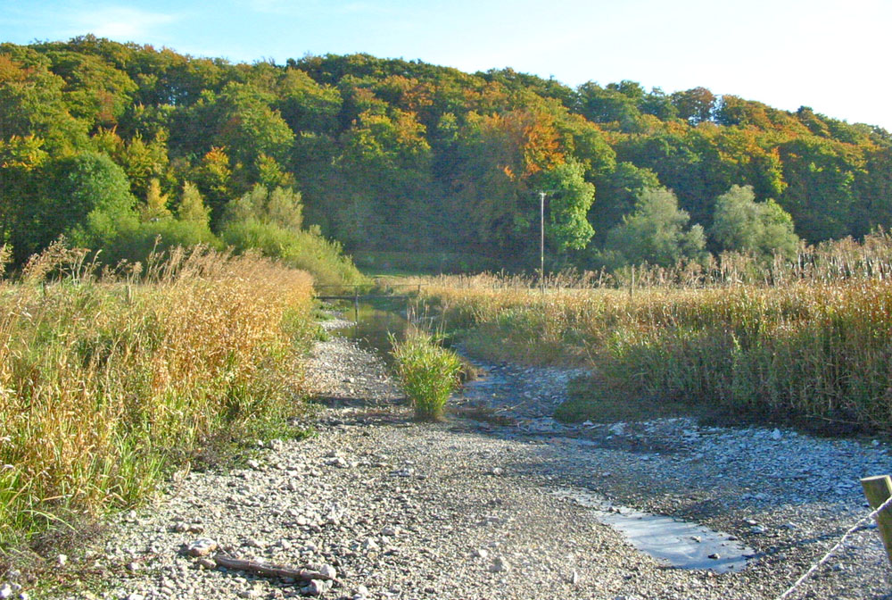 A dry river bed covered in pebbles runs though a field of tall grass. There s a small bridge in the ditance.