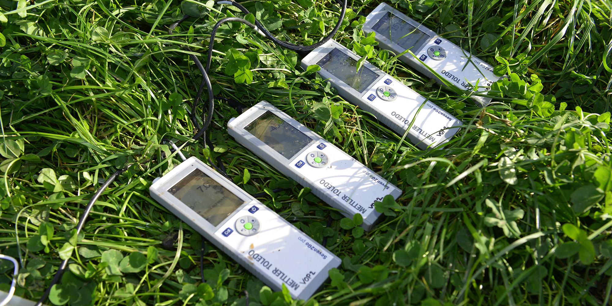 Four pH meters lying on grass