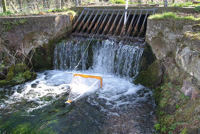 a small waterfall cascades out of a grill set in a wall. There is a funnel-shaped net placed in the middle of the stream flow.
