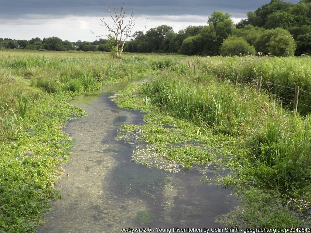 A clear stream flows through a lush grassy field