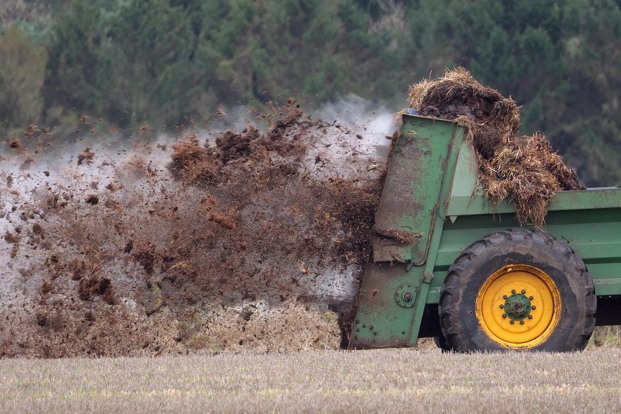 A green truck with yellow heels dumps a pile of steaming manure into a field.