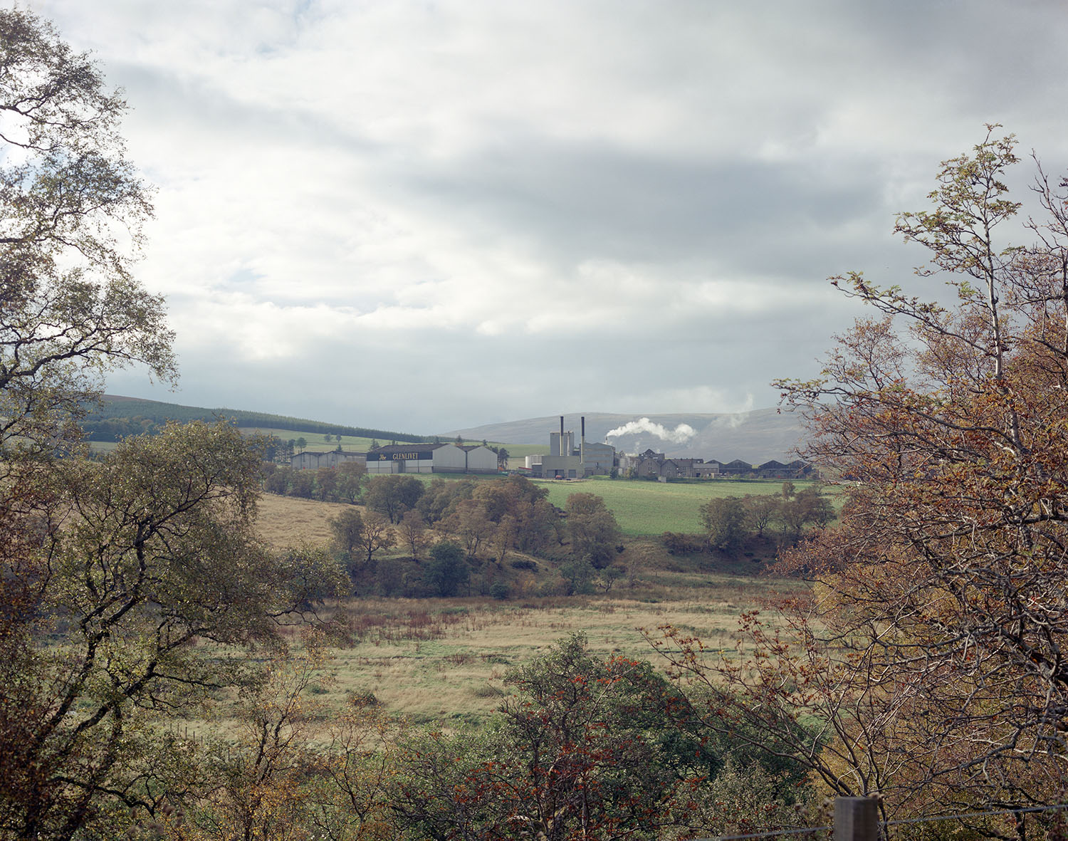 A view through tree and across a field to a distant factory