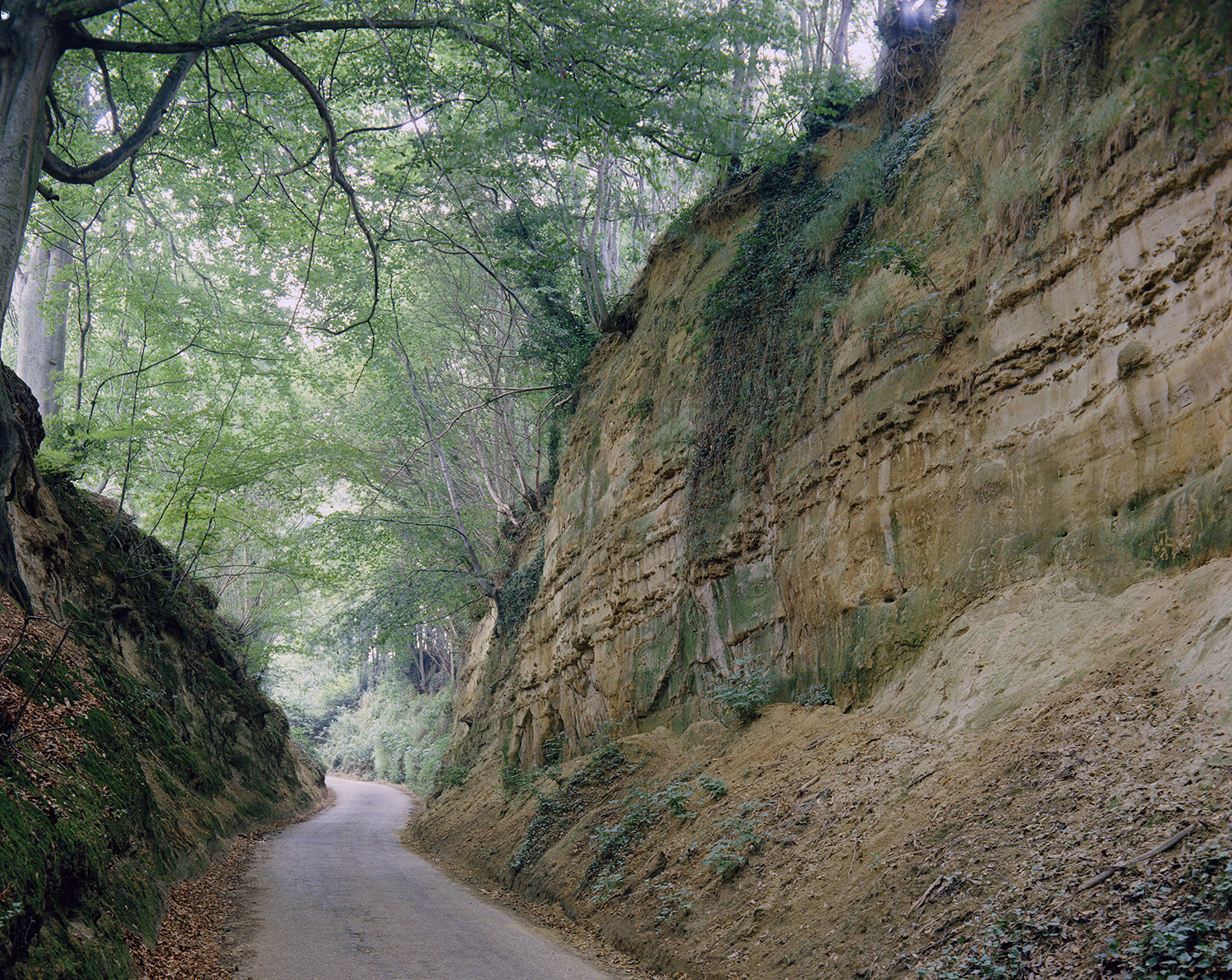 P209857