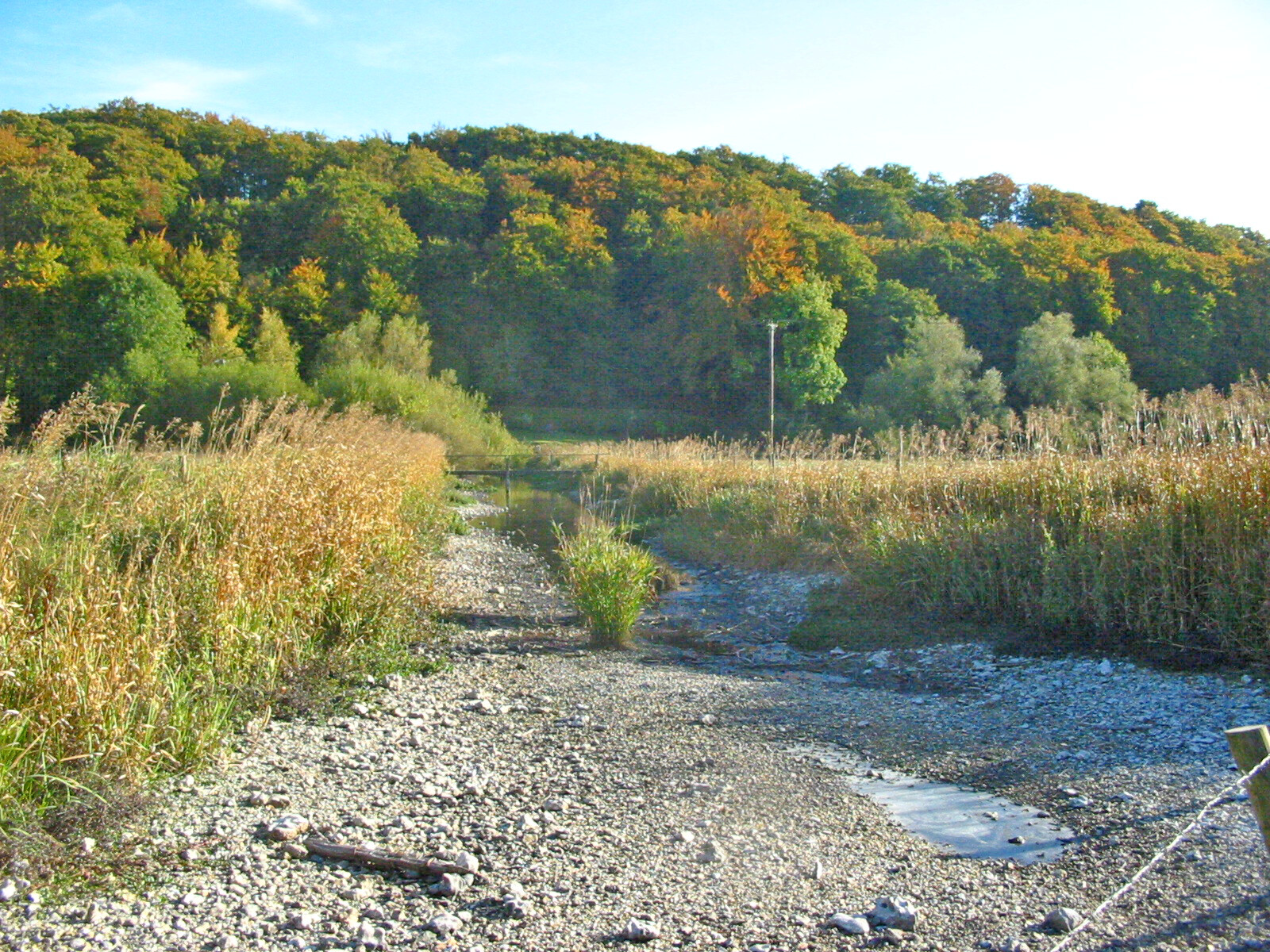 A dry stream bed