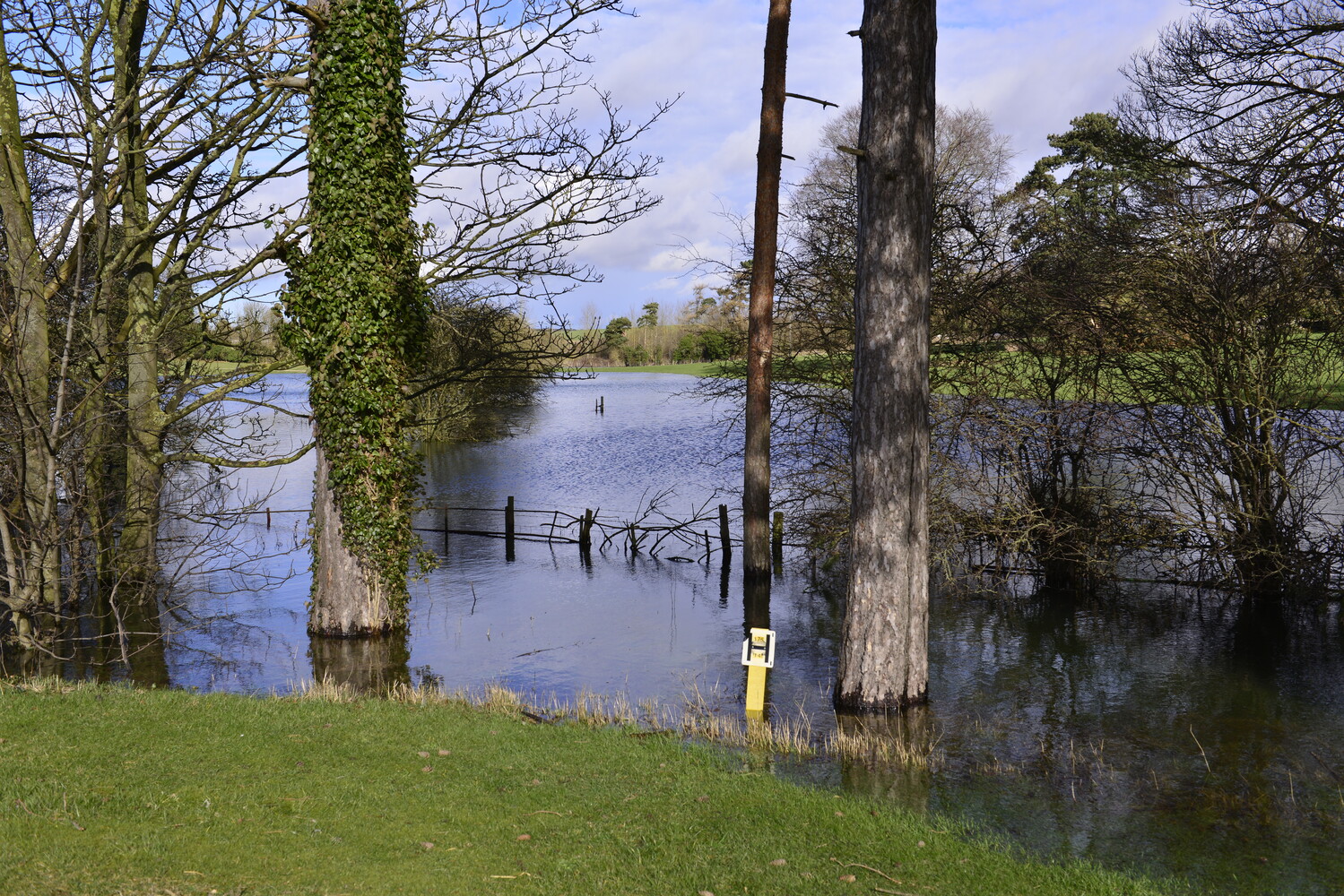 A flooded field with trees and a fire hydrant in the flooded area