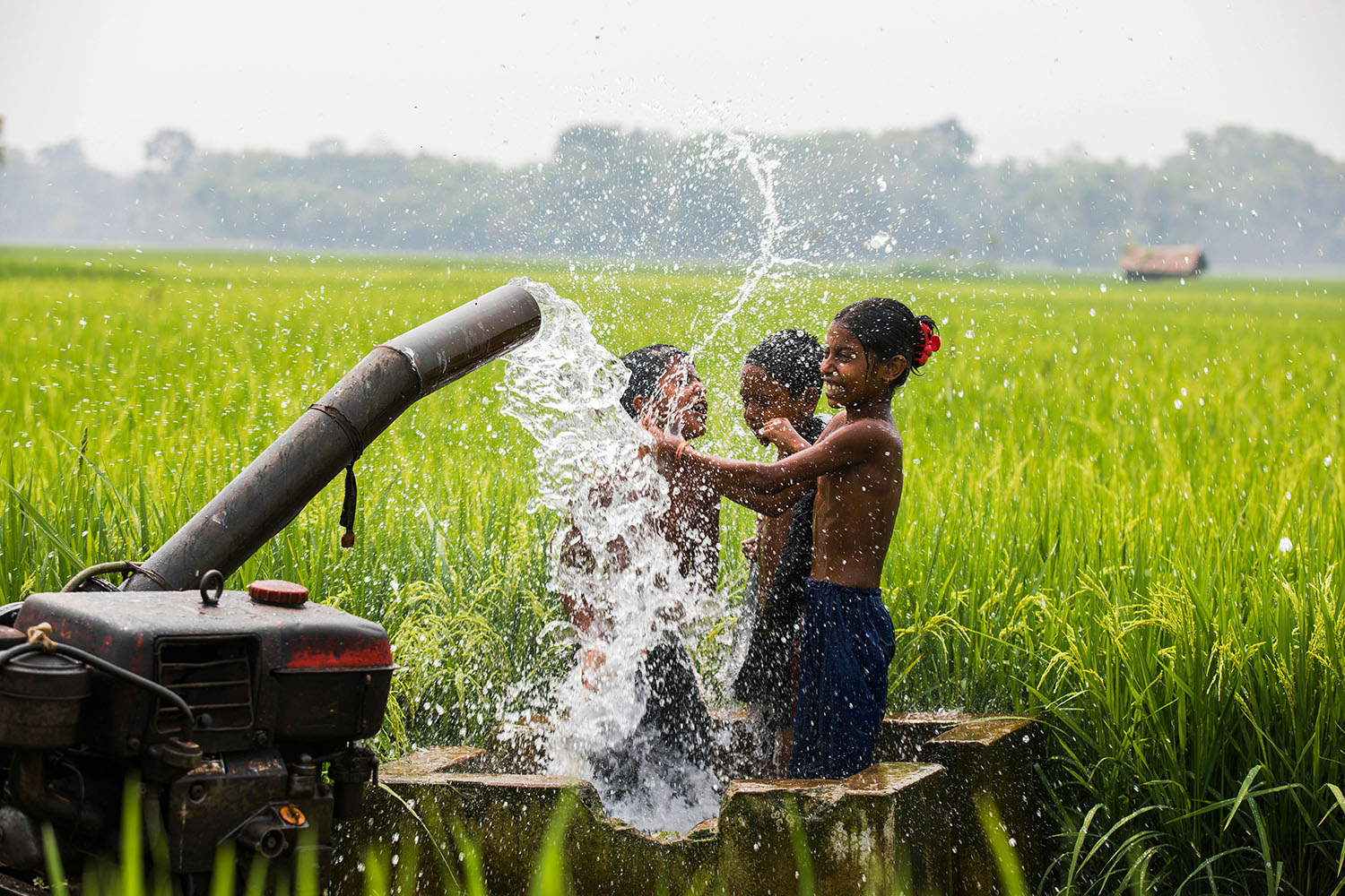 three laughing children in a green field splashing in water issuing from a large pipe