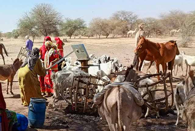 International Bgs Groundwater