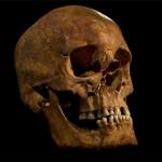 Skull of King Richard III © University of Leicester.