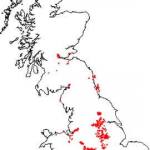 Coal Authority Geophysical Borehole Logs