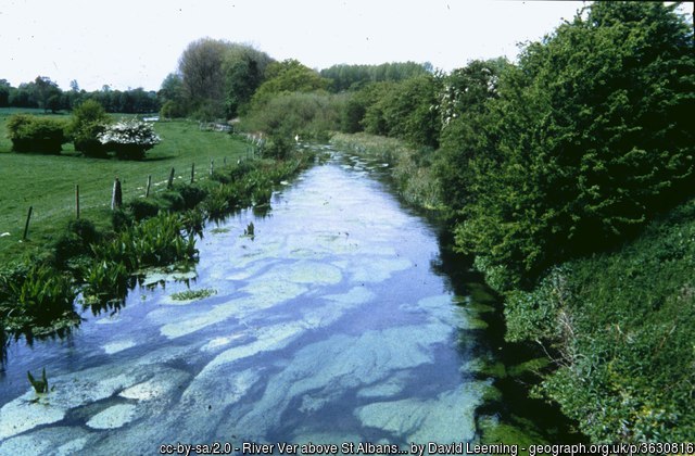 River Ver in normal conditions in May 1994