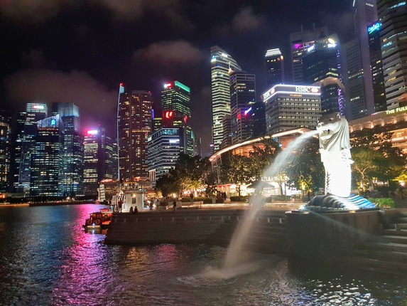 Downtown Singapore Skyline