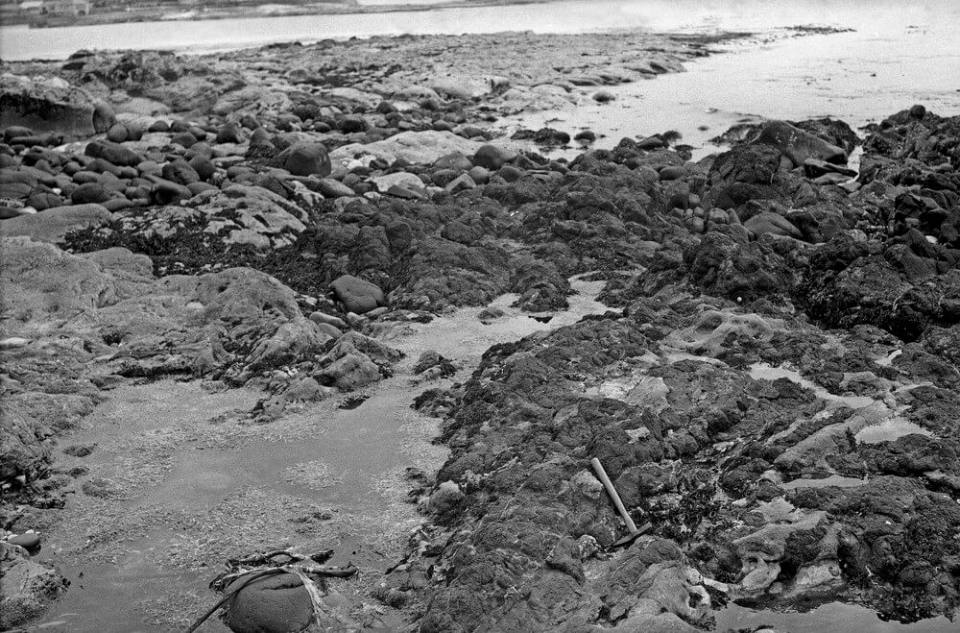 Ireland Geological Survey history