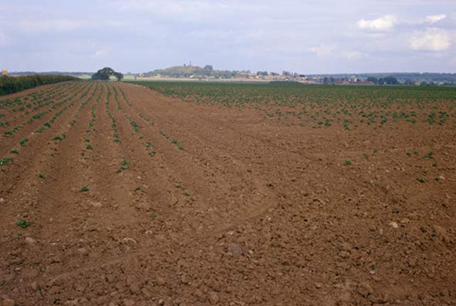 BGS Soil chemistry for environmental assessments