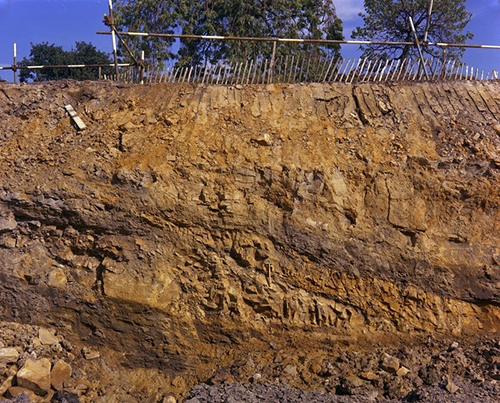 Preparation of ground prior to building foundation.