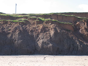 The cliffs at Aldbrough.