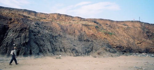 Figure 2 the cliffs at Aldbrough.