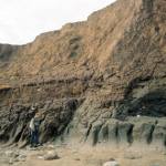 Coastal erosion of the lower part of the cliff at Aldbrough.