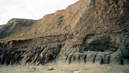 Coastal erosion of the lower part of the cliff at Aldbrough.