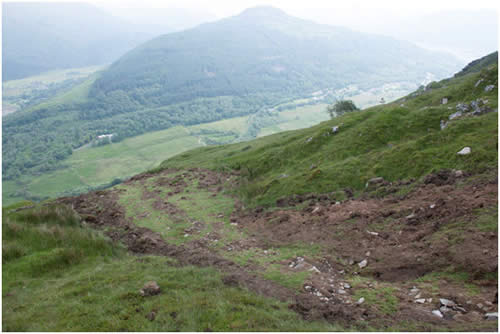 Muddy debris with cobbles on the margins and within the pathway of LS1, forming ridges elongated downslope.