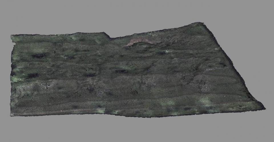 Hollin Hill digital terrain model