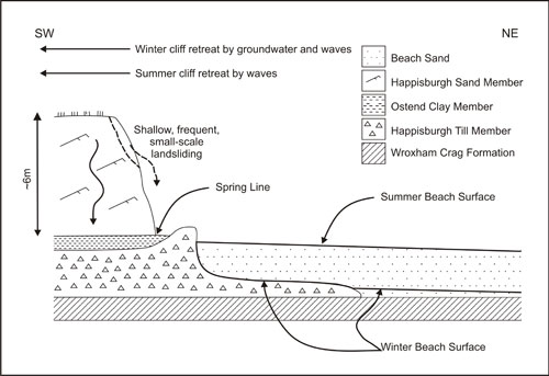 Figure 5 Cross-section at Happisburgh, showing cliff and platform stratigraphy.