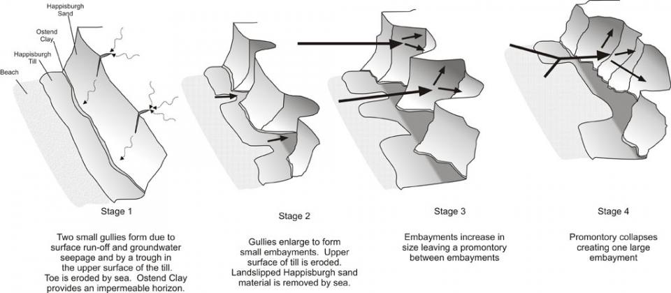 Figure 6 Process model for embayment formation at Happisburgh.