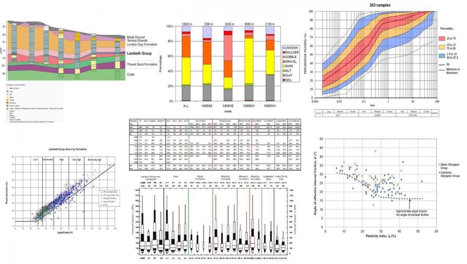 NGPD bespoke data presentation