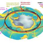 Southern ocean circulation schematic