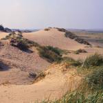 Sand dunes at Prestatyn, North Wales