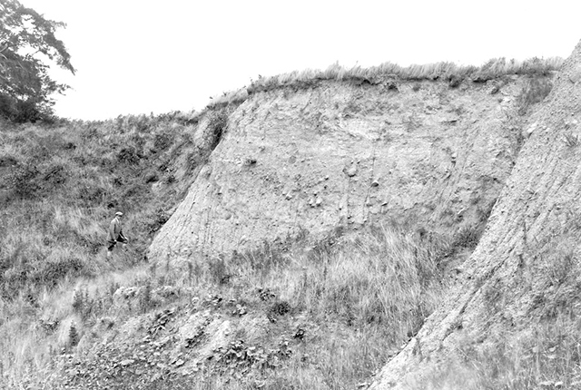 The backscarp of Lloyd's Coppice landslide from 1924.