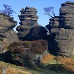 Brimham Rocks. Looking N.