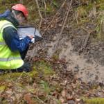 Fresh shear plane exposed in woodland indicates active movement.