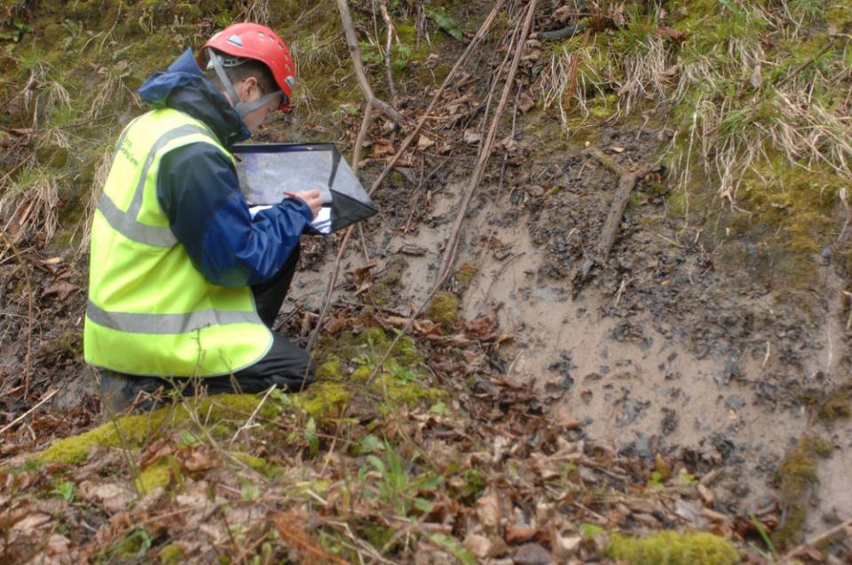 Fresh shear plane exposed in woodland indicates active movement.