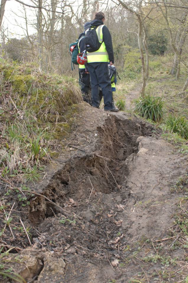 Fresh tension crack spanned by roots providing evidence of extensional movements in the middle of the woodland area.