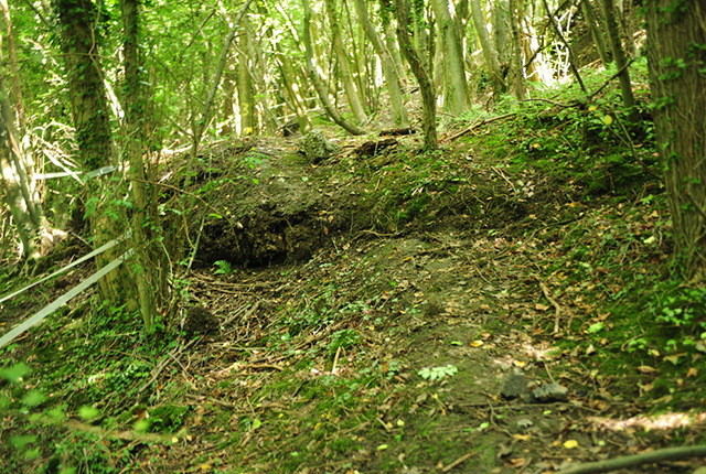 View of the front of one of the flow lobes seen in the upper section of the slope.