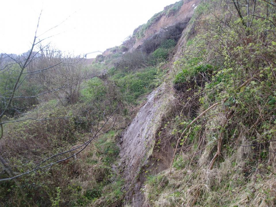 Photograph of rear scarp exposing grey glacial till. Photo taken looking west from slope below eastern end of Knipe Point. Note bungalows in top left of photograph.