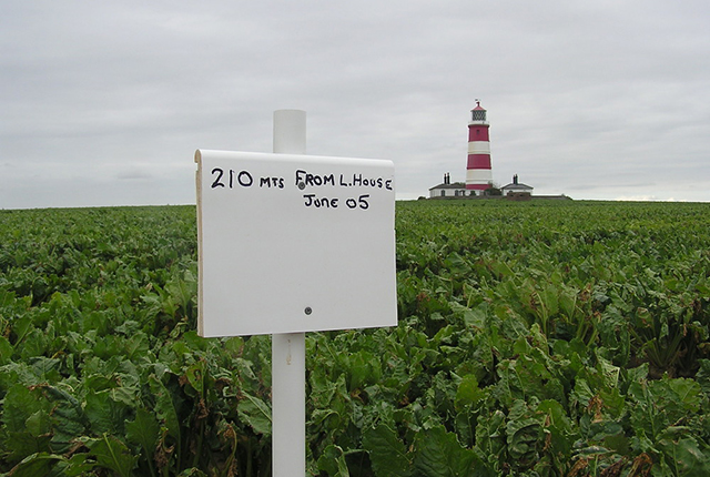 Happisburgh 2005.