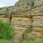 Cleeve Cloud Member of the Birdlip Limestone Formation.