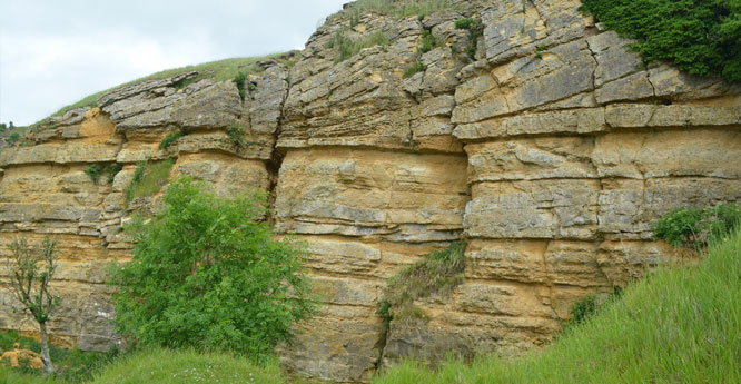 Cleeve Cloud Member of the Birdlip Limestone Formation.