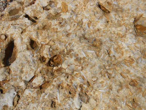 Fallen blocks of fossil rich Jurassic limestone litter the beach along the World Heritage Jurassic Coast and attract fossil hunters. The public should exercise caution when standing under or at the top of cliffs and are advised to abide warning signs. Taken 25 July 2012.