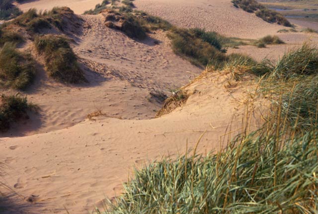 sand dunes