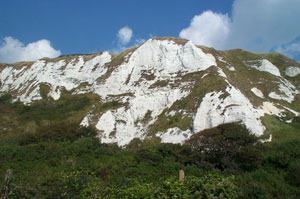 Folkestone Warren cliffs.