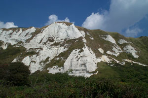 Folkestone Warren cliffs.