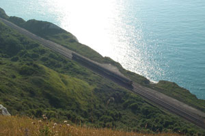 Folkestone Warren cliffs.