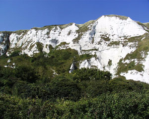 Folkestone Warren cliffs.