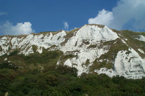 Folkestone Warren cliffs.