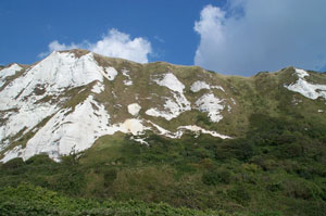 Folkestone Warren cliffs.