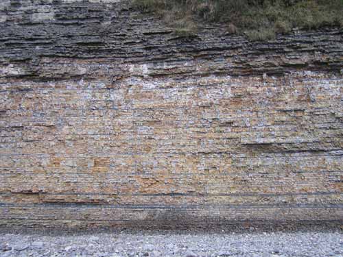 Figure 1. Porthkerry Member in cliff section to the east of the landslide.