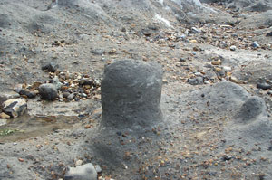 Unusual shapes created by marine erosion of Happisburgh Formation.